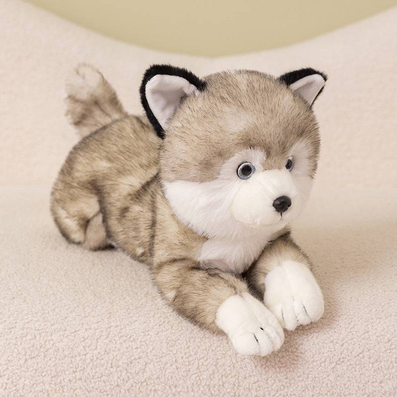 Cute Shiba Inu Doll Husky Doll - BulkBy